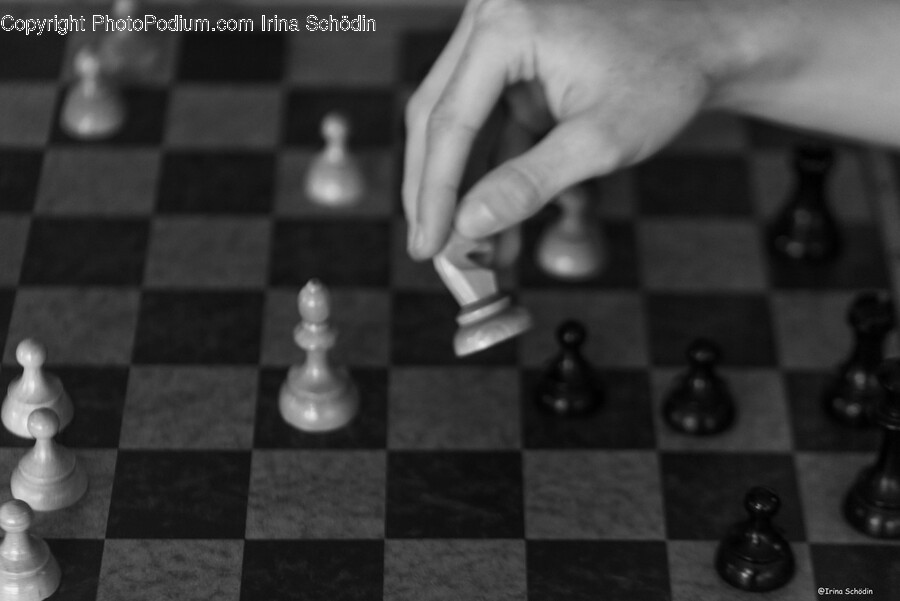 Chess, Game, Adult, Male, Man