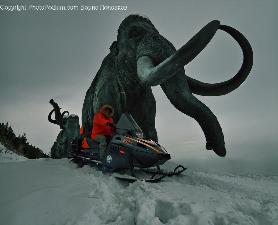 Outdoors, Nature, Person, Snow, Animal