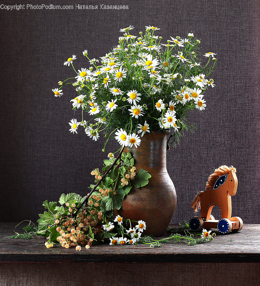 Flower, Flower Arrangement, Plant, Daisy, Flower Bouquet
