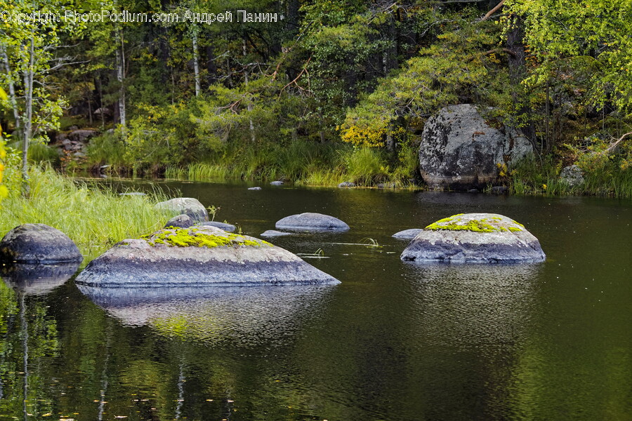 Nature, Outdoors, Pond, Water, Land