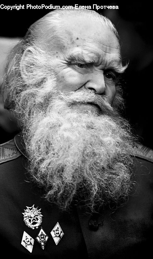 Beard, Hair, People, Person, Human, Portrait, Selfie