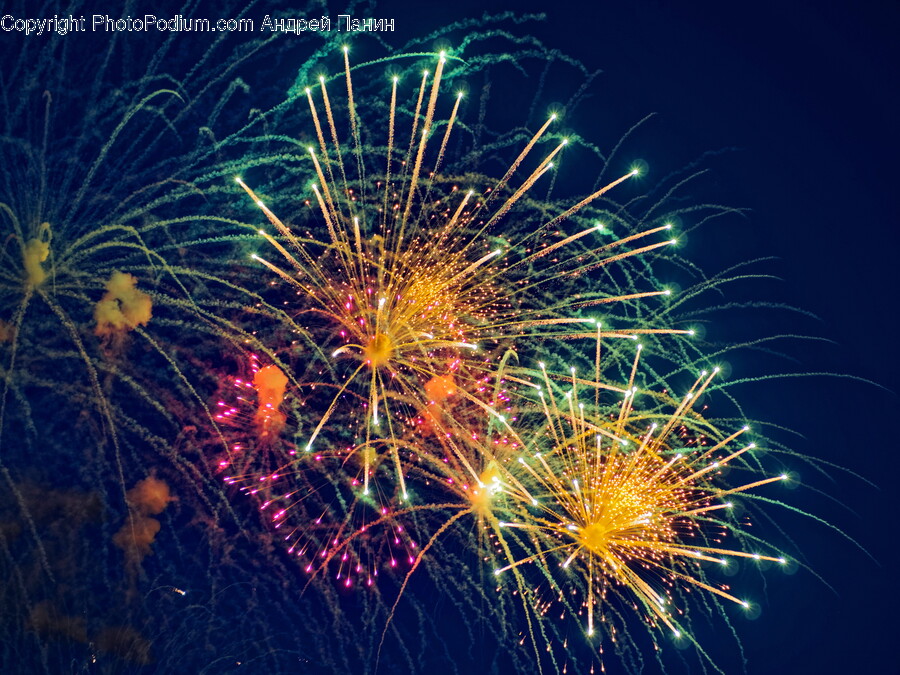 Fireworks, Plant, Nature, Night, Outdoors