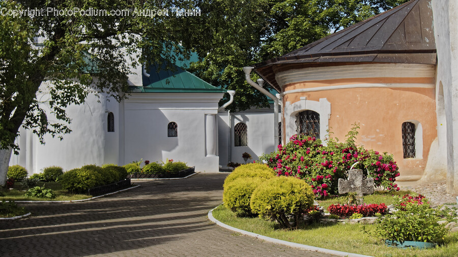 Path, Walkway, Road, Garden, Nature