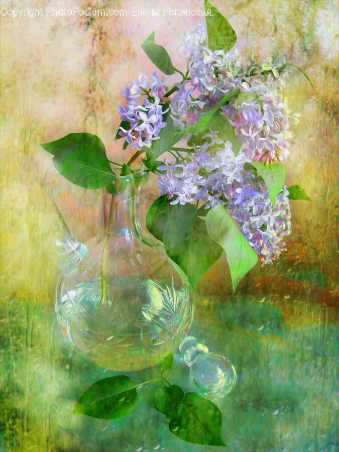 Flower, Plant, Jar, Flower Arrangement, Pottery