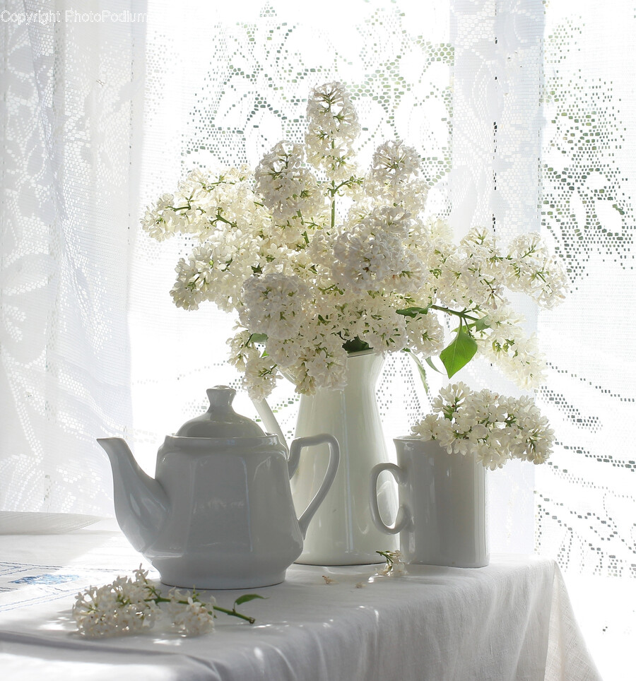 Pottery, Flower, Flower Arrangement, Plant, Flower Bouquet