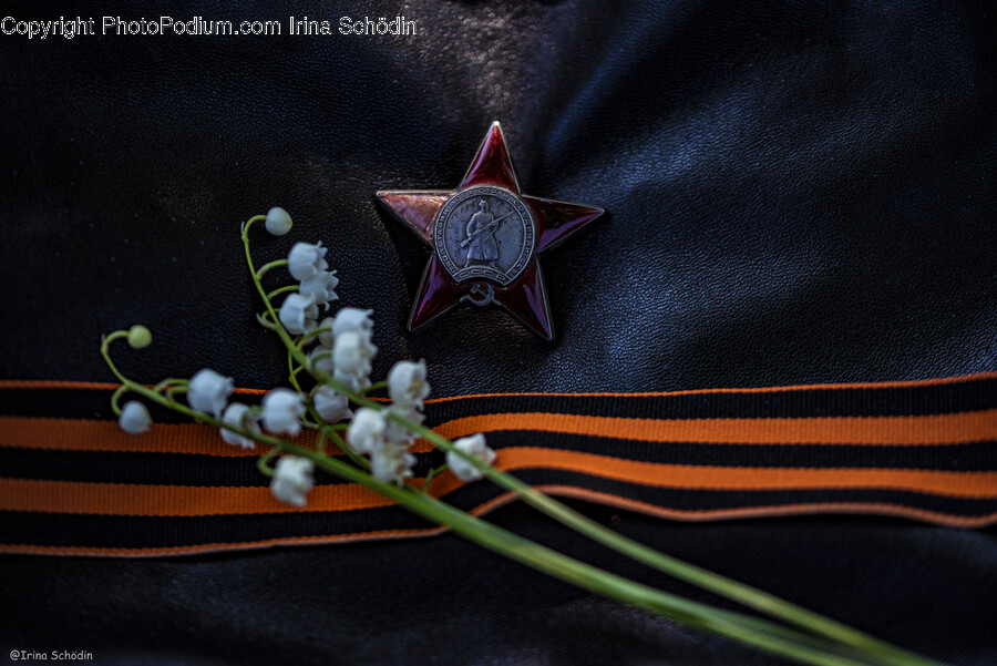 Logo, Symbol, Badge, Flower, Plant