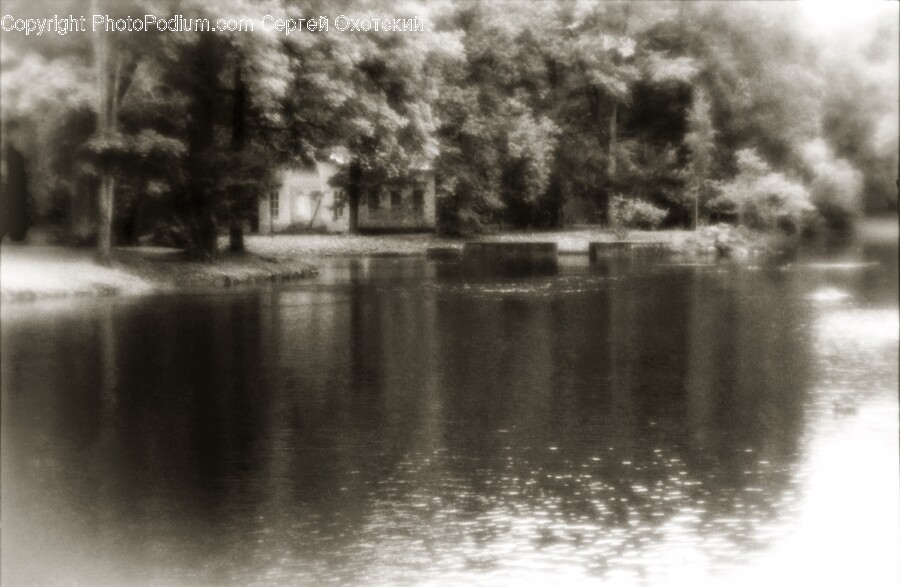 Nature, Outdoors, Pond, Water, Weather
