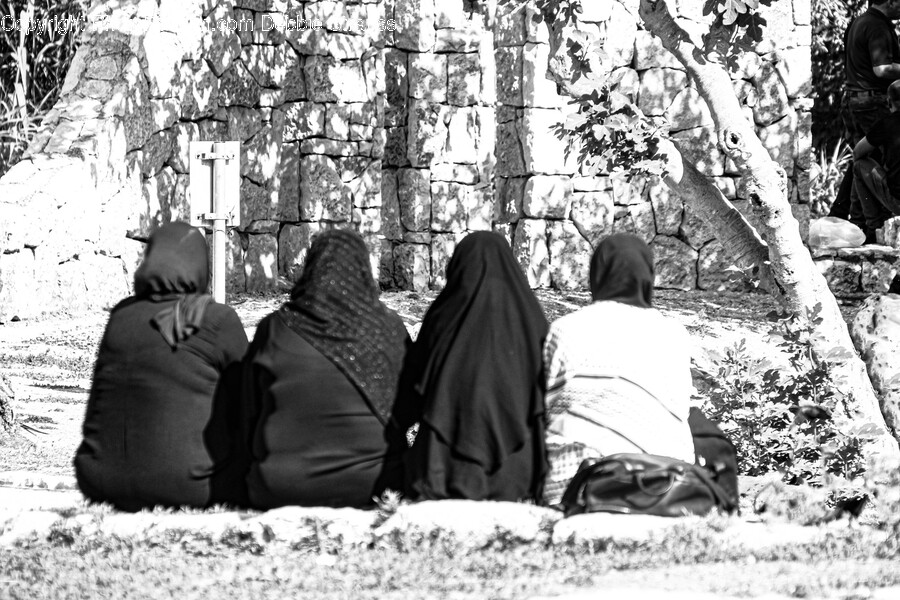 Adult, Female, Person, Woman, Male