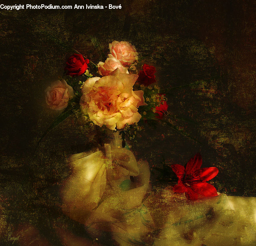 Blossom, Flower, Plant, Rose, Flora, Geranium, Gladiolus