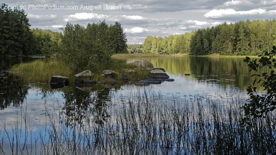Nature, Outdoors, Pond, Water, Land