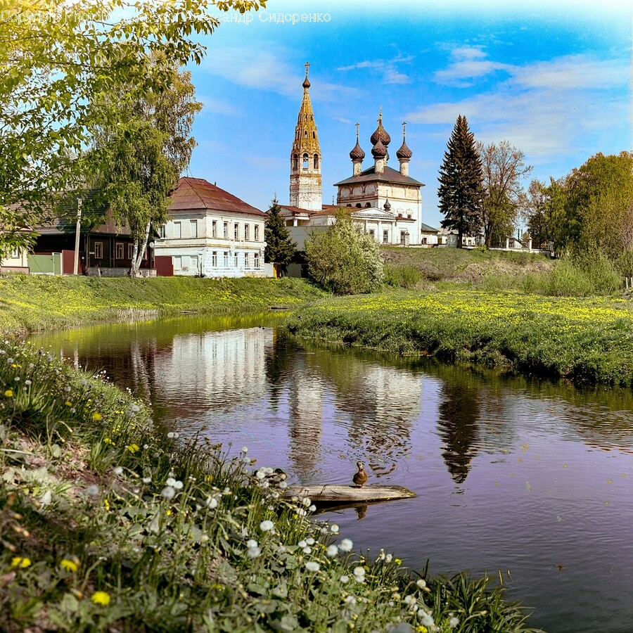 Nature, Outdoors, Pond, Water, Architecture