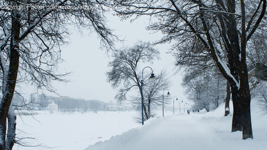 Nature, Outdoors, Winter, Blizzard, Snow