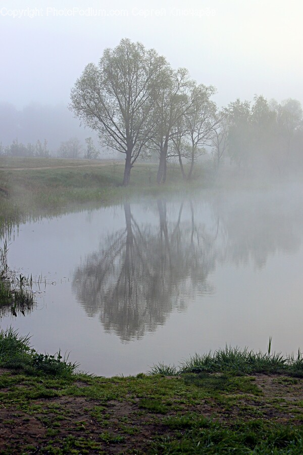 Nature, Outdoors, Weather, Fog, Mist