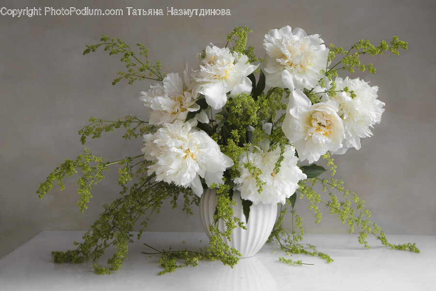 Flower, Flower Arrangement, Plant, Flower Bouquet, Art