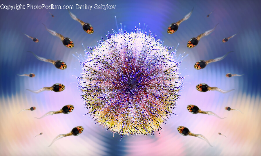 Plant, Pollen, Animal, Apidae, Bee