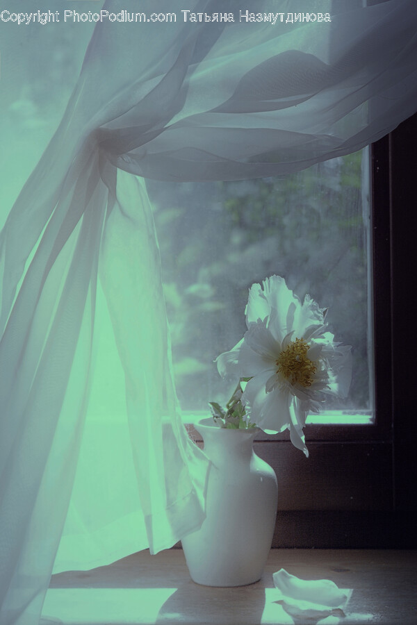 Flower, Flower Arrangement, Plant, Flower Bouquet, Petal