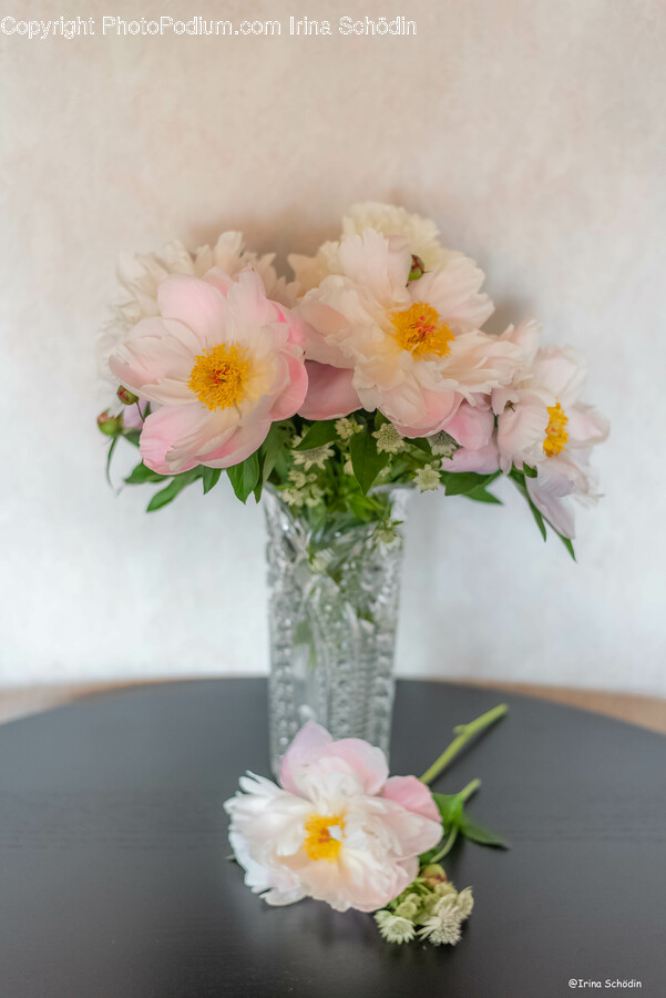 Flower, Flower Arrangement, Plant, Flower Bouquet, Art