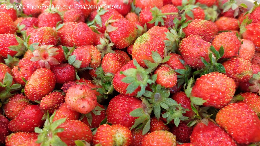 Berry, Food, Fruit, Plant, Produce