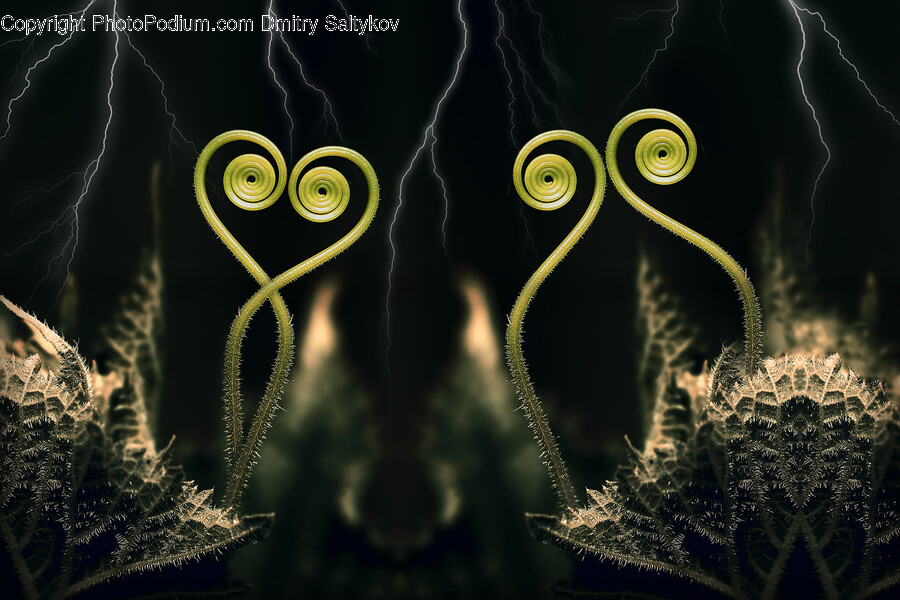 Pattern, Accessories, Fractal, Ornament, Coil
