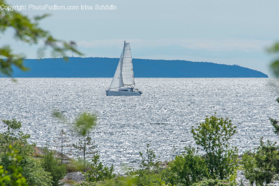 Boat, Sailboat, Transportation, Vehicle, Watercraft