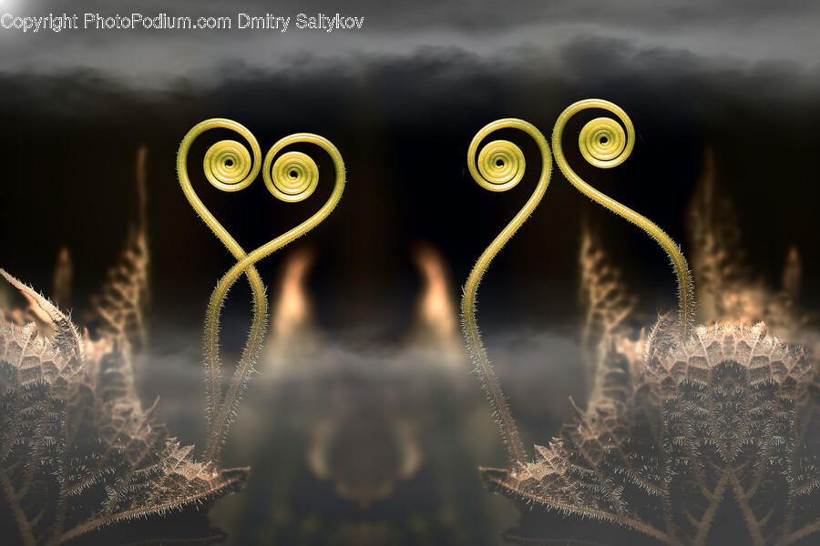 Pattern, Accessories, Fractal, Ornament, Coil