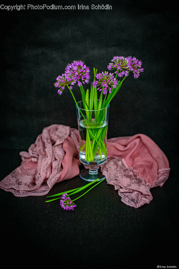Flower, Flower Arrangement, Plant, Flower Bouquet, Ikebana