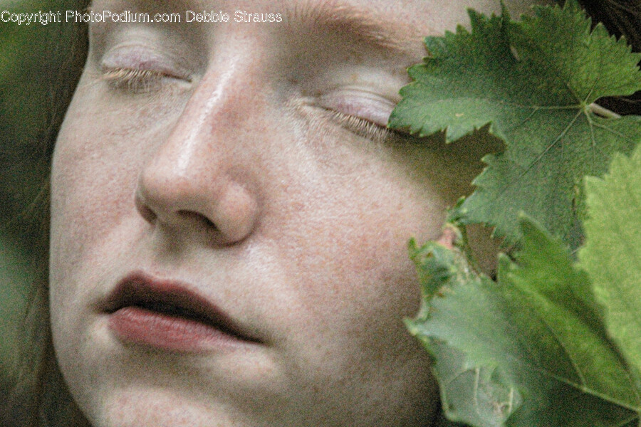 Head, Person, Face, Leaf, Plant