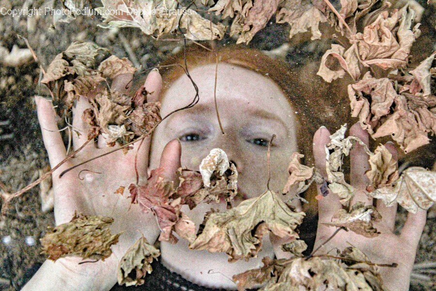Leaf, Plant, Body Part, Finger, Hand