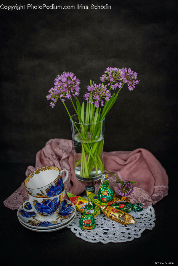 Flower, Flower Arrangement, Plant, Saucer, Flower Bouquet