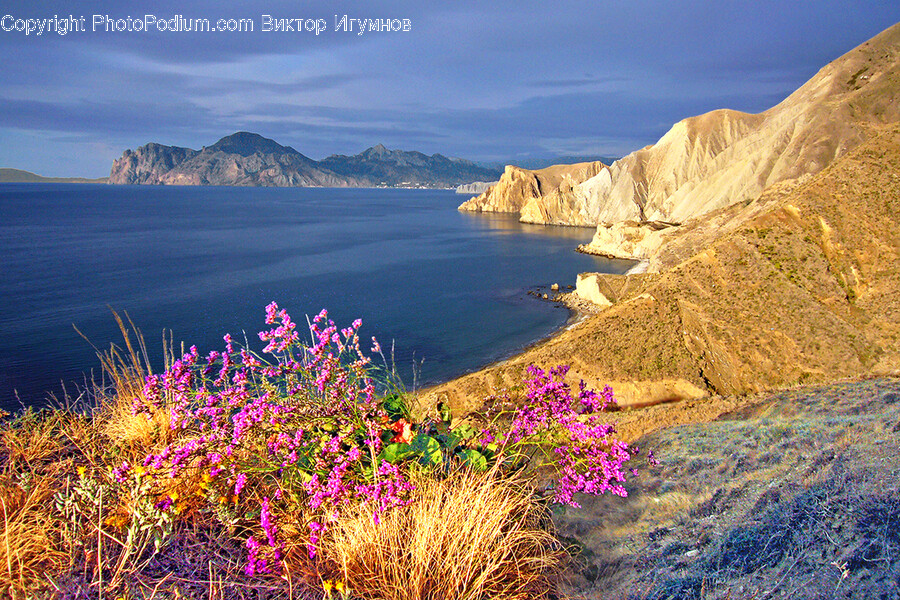 Nature, Outdoors, Promontory, Water, Scenery