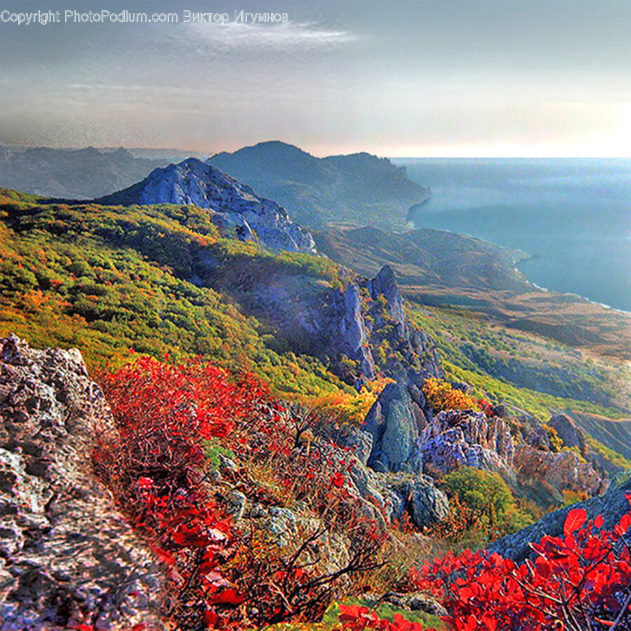 Nature, Outdoors, Scenery, Slope, Land