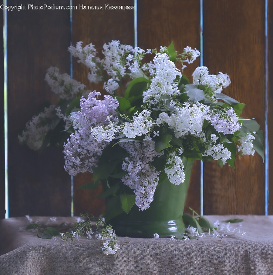 Flower, Flower Arrangement, Plant, Flower Bouquet, Ikebana