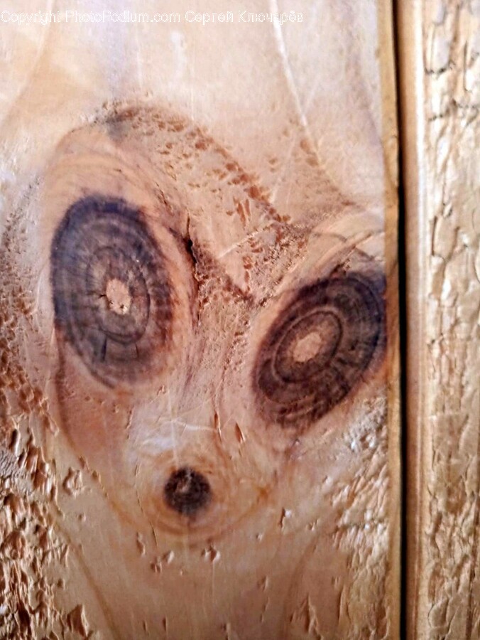 Wood, Face, Head, Person, Adult