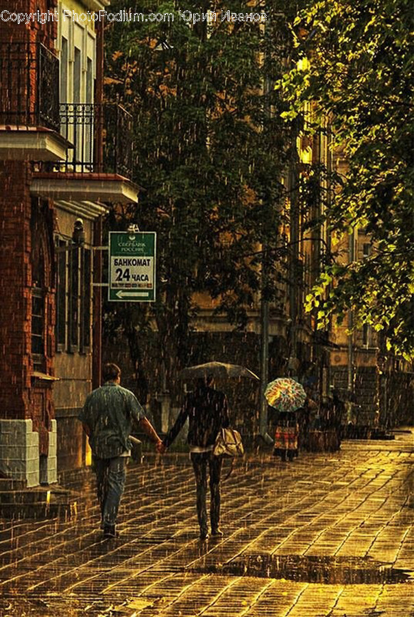City, Road, Street, Urban, Path
