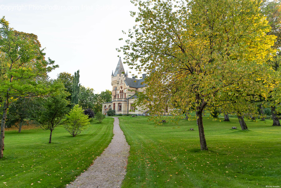 Grass, Plant, Lawn, Architecture, Building