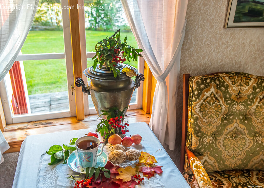Flower, Flower Arrangement, Plant, Pottery, Potted Plant