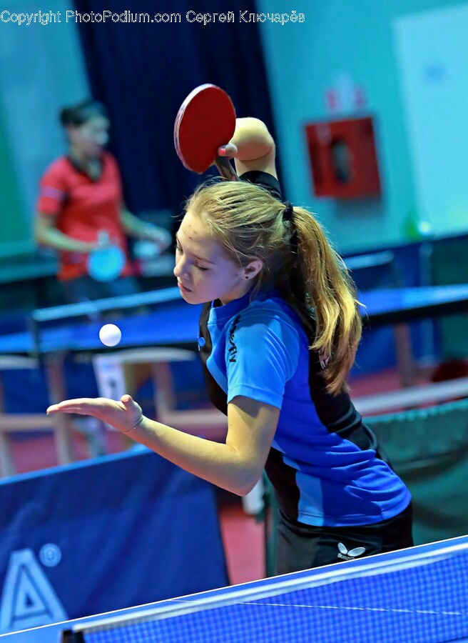 Person, Ping Pong, Ping Pong Paddle, Racket, Sport