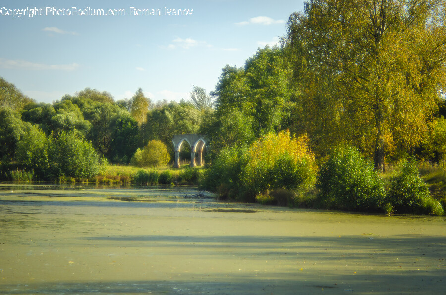Land, Nature, Outdoors, Pond, Water