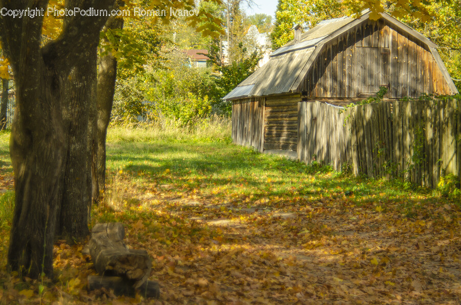 Architecture, Building, Countryside, Hut, Nature