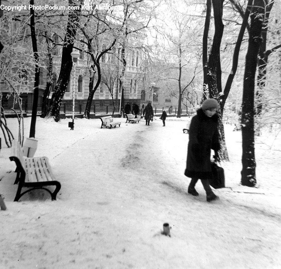 People, Person, Human, Bench, Ice, Outdoors, Snow