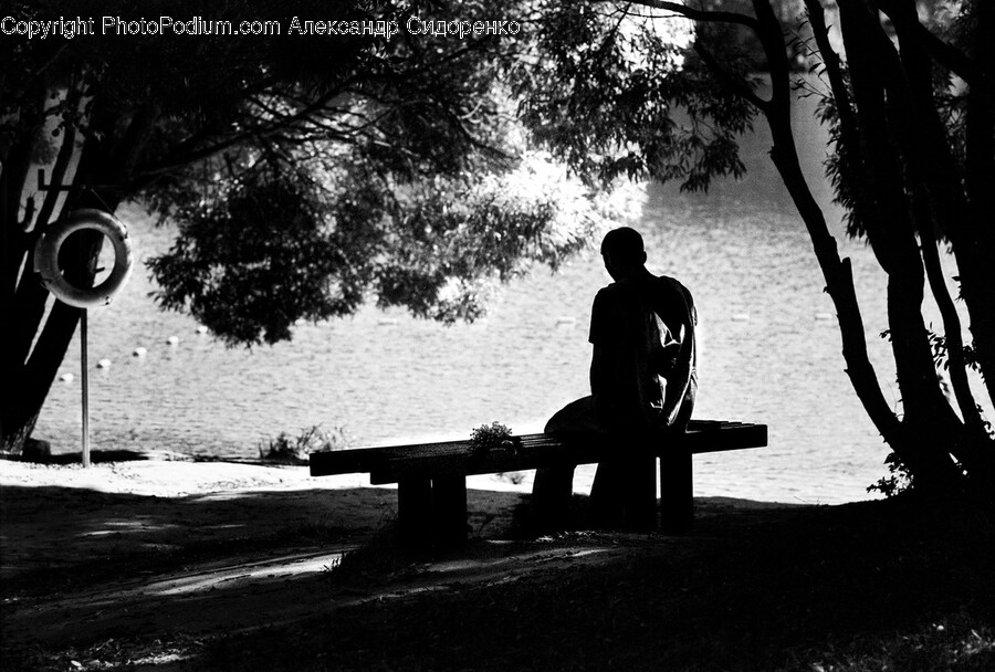 Bench, Furniture, Water, Waterfront, Silhouette