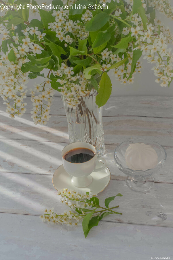 Flower, Flower Arrangement, Plant, Saucer, Cup