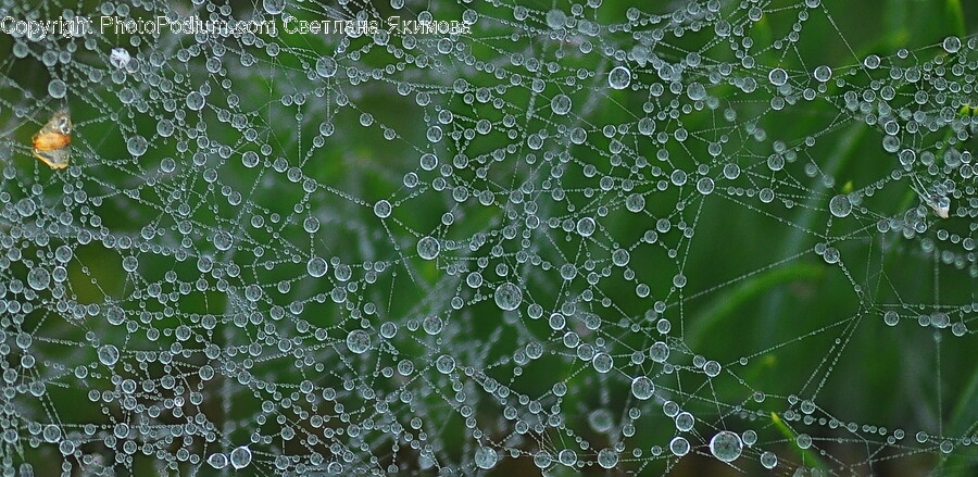 Chandelier, Lamp, Spider Web, Droplet