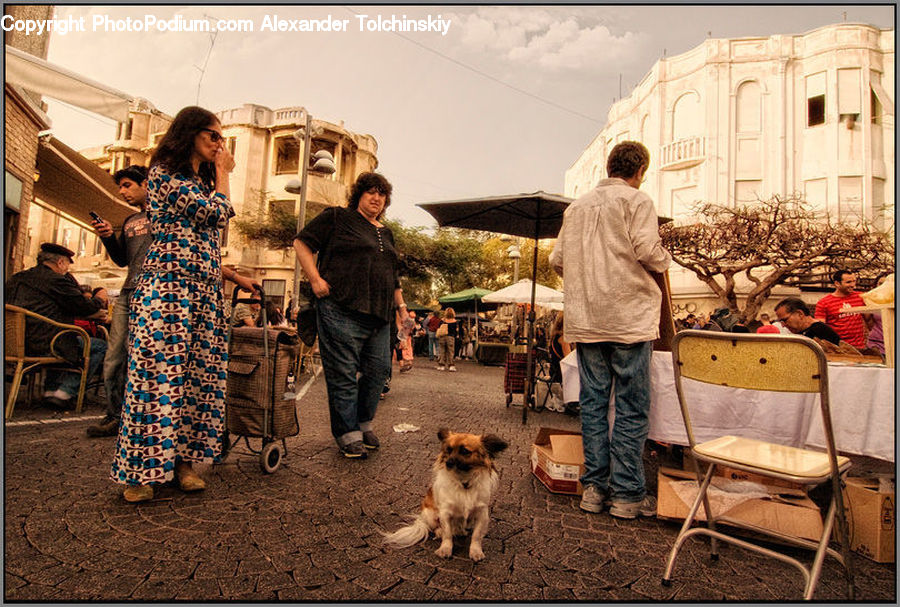 Human, People, Person, Chair, Furniture, Bazaar, Market