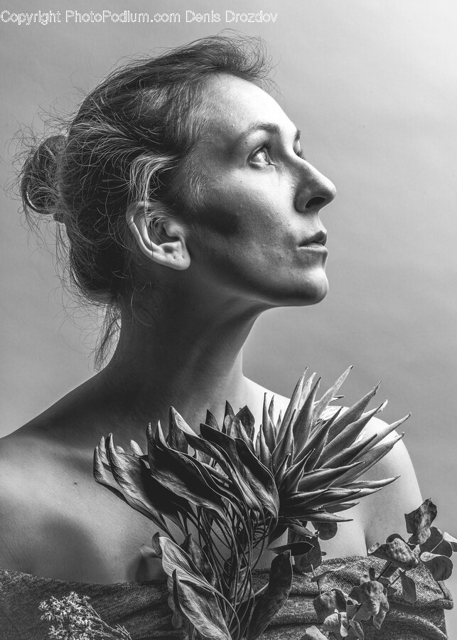 Face, Head, Person, Photography, Portrait