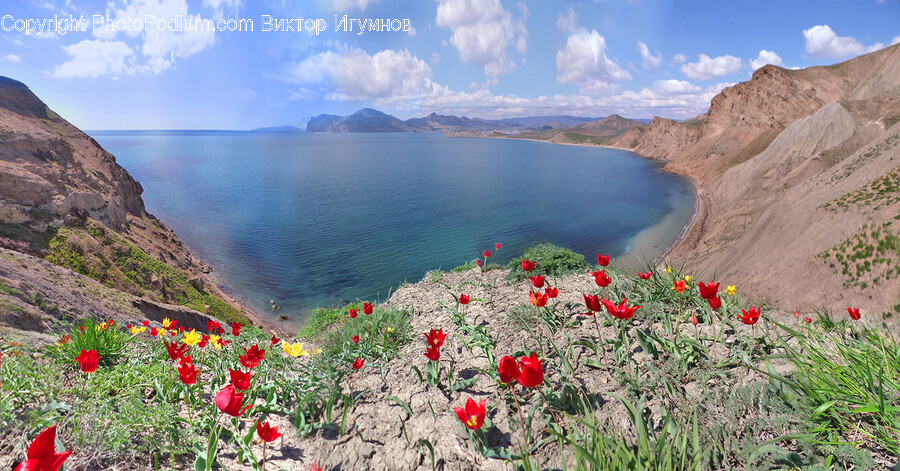 Nature, Outdoors, Scenery, Landscape, Promontory