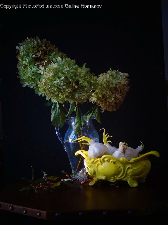 Flower, Flower Arrangement, Plant, Flower Bouquet, Ikebana