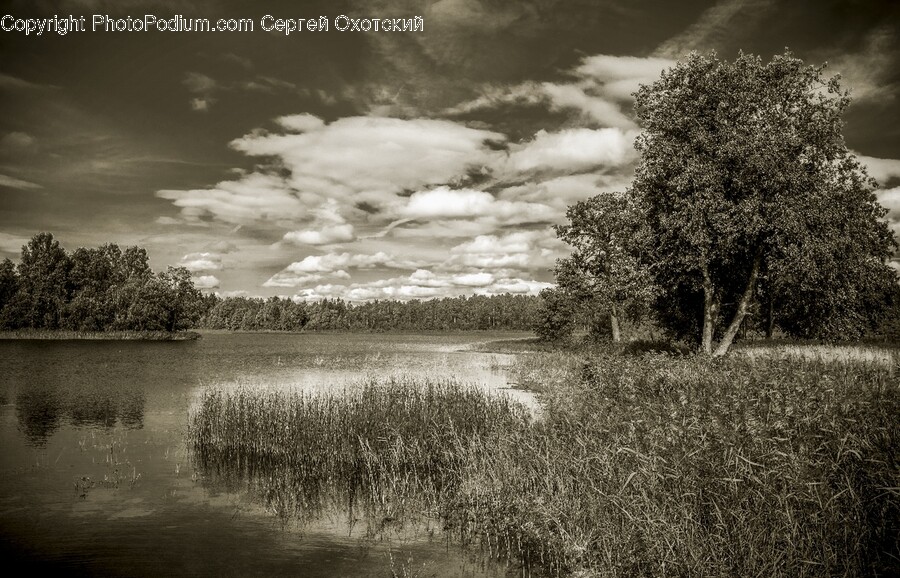 Land, Nature, Outdoors, Cloud, Cumulus