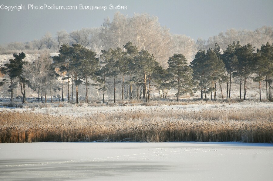 Nature, Outdoors, Weather, Ice, Scenery