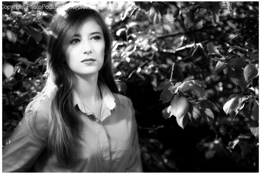 Face, Head, Person, Photography, Portrait